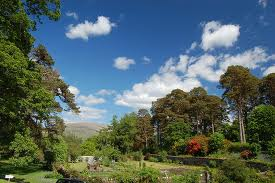 achnacloich gardens 1