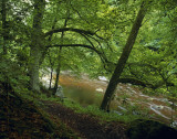 allen banks and staward gorge 1
