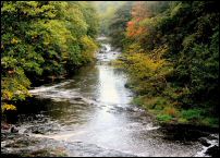 almondell and calderwood country park 1