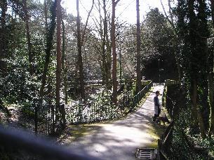 alum chine and argyll gardens 1