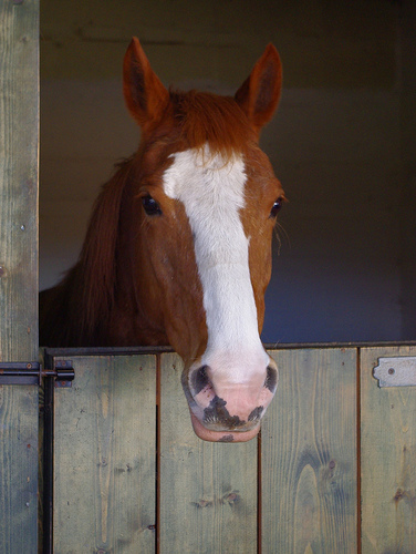 amerton farm 1