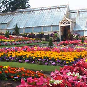 ardencraig gardens 1