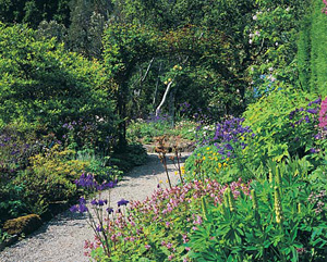 arduaine garden 1