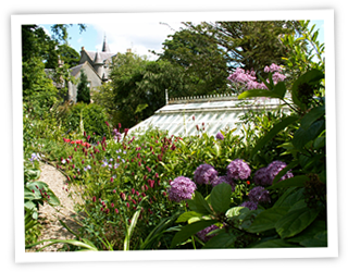 ascog hall fernery and garden 1