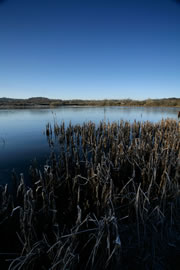 barons haugh nature reserve 1