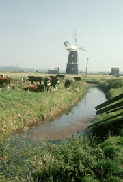 berney marshes and breydon water nature reserve 1