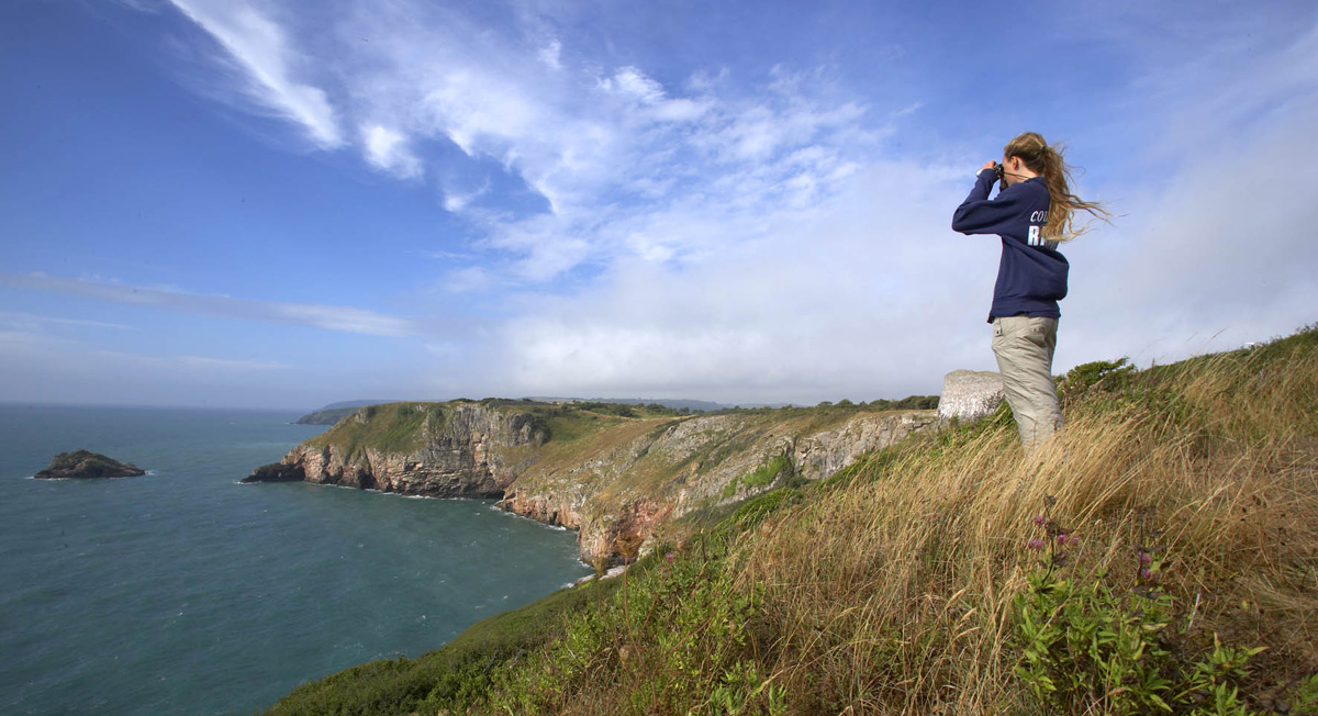 berry head national nature reserve 1