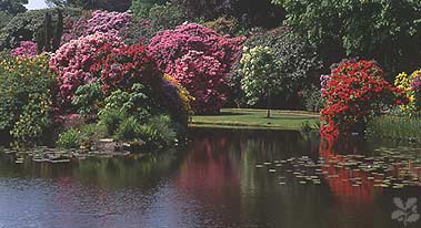 biddulph grange garden 1