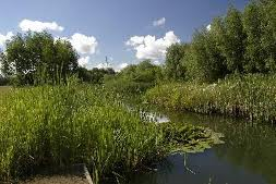 billingham beck valley country park 1