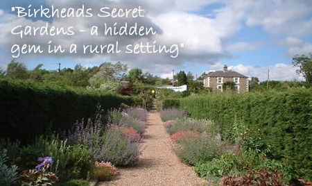 birkheads secret gardens and nursery 1