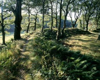 blackbury camp 1
