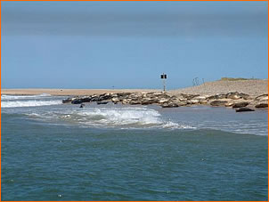 blakeney seal trips with beans boats 1