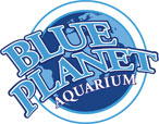 blue planet aquarium 1