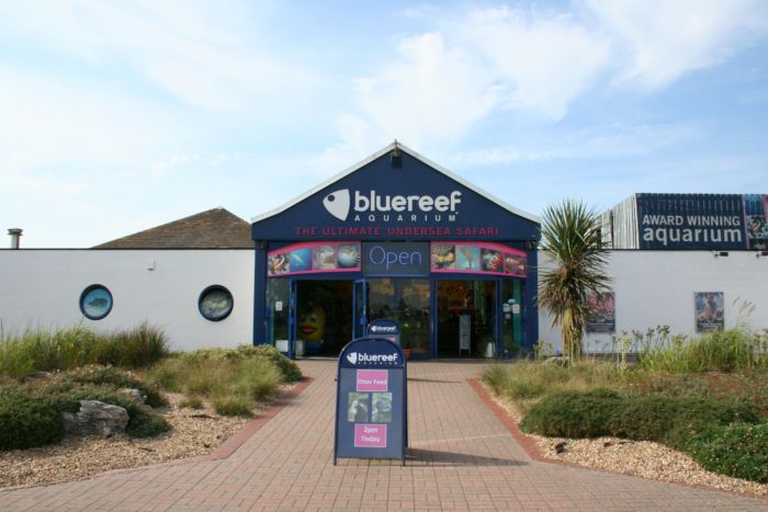 blue reef aquarium 1