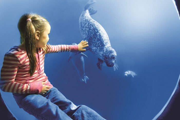 blue reef aquarium 1