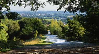 box hill 1