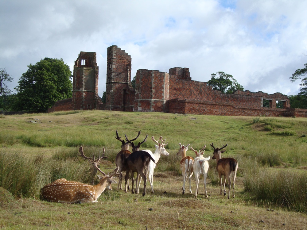 bradgate country park 1