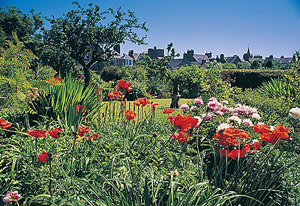 broughton house  garden 1
