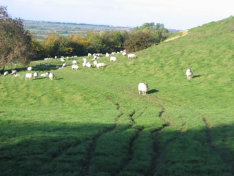 burton dassett hills country park 1