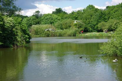 capstone farm country park 1