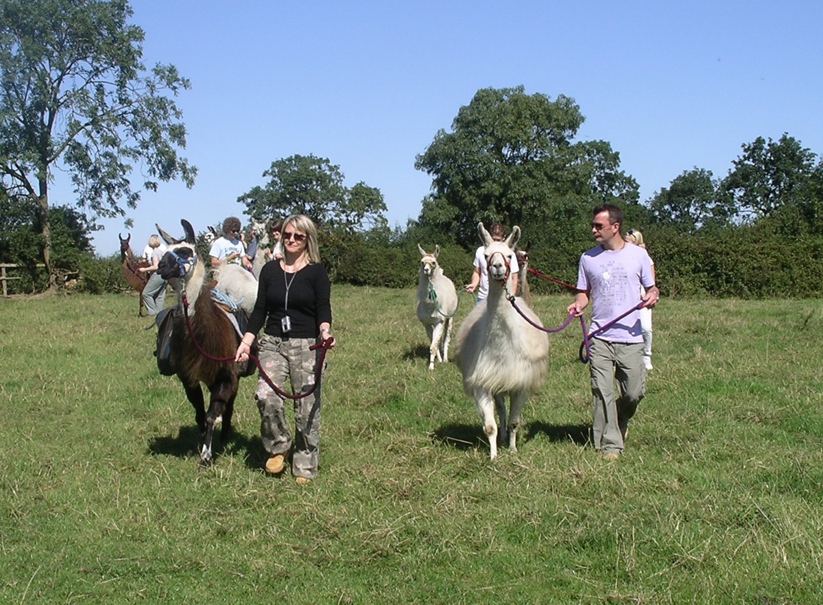 catanger llamas trekking 1