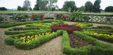 charlecote park 1