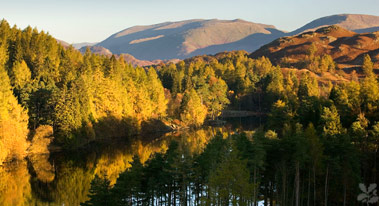 coniston  tarn hows 1