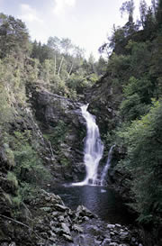 corrimony nature reserve 1