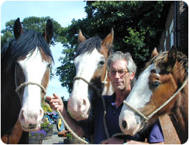 cotebrook shire horse centre 1