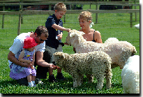 cruckley animal farm 1