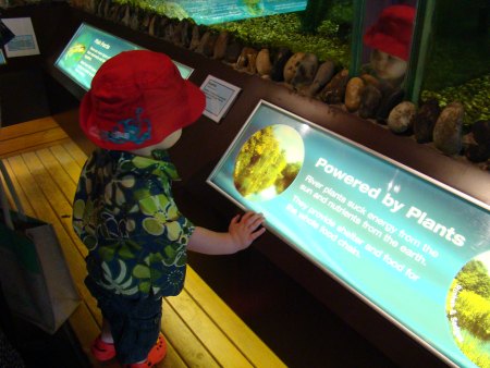 cumberland house  the natural history museum 1