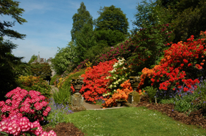 dawyck botanic garden and visitor centre 1