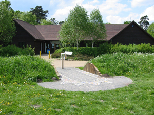 denham country park 1