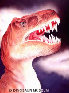 dinosaur museum 1