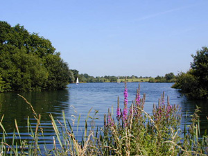 dinton pastures country park 1