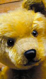 dorset teddy bear museum 1