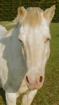 eastgate farm 1