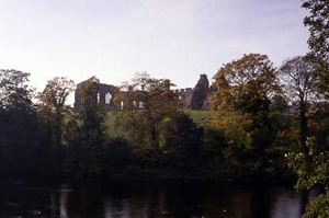 egglestone abbey 1