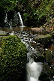 fairy glen nature reserve 1