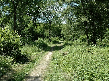 farley mount country park 1