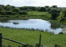 farlington marshes 1
