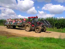 farmer palmers farm park 1