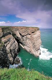 fowlsheugh nature reserve 1