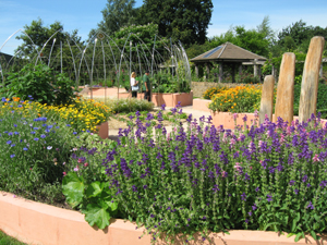 garden organic 1