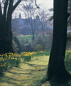 geilston garden 1