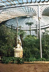 glasgow botanic gardens 1