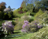 glendurgan garden 1