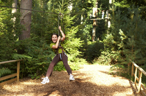 go ape grizedale 1