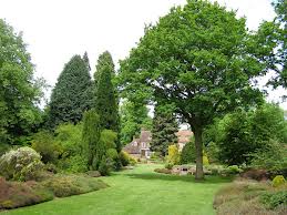 great comp garden 1