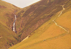 grey mares tail nature reserve 1